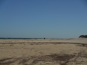 2015-04-25 09.13.42